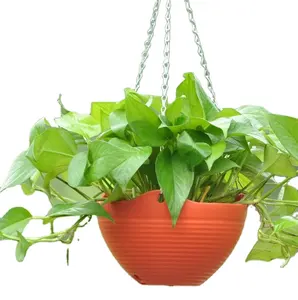 <span class=keywords><strong>Colgante</strong></span> de plástico <span class=keywords><strong>cesta</strong></span> o pote para Decoración - Product Image 2