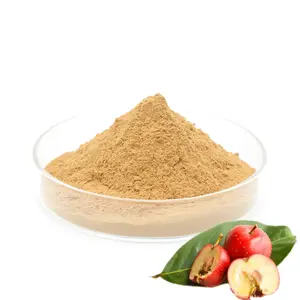 100% Pure Quality Natural Hawthorn Berry Fruit Herbal Extract Powder From Wholesale Supplier