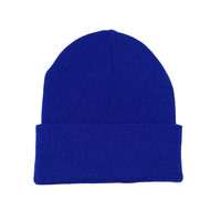 Offre Spéciale hiver personnalisé conception plaine plastique recyclé RPET FIL tricoté beanie chapeau