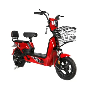 Peerless New Design 14 Inch Fat Tire E Bike 48V 350W Electric Bike Bicycle made in China for adult