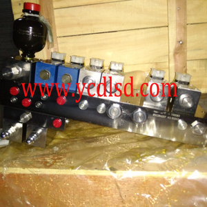 New Crane Control Valve XZZX-B201 803000079 803386207 for QY50K