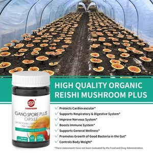 GANOHERB Immunity Boosters Extracto de Reishi orgánico Polvo de hongos 60 Cápsulas vegetarianas Muestra disponible - Product Image 4
