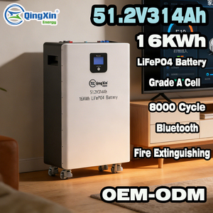 High-Capacity LiFePO4 Solar Storage Battery 15KW 48V 230AH 300AH 16kWh 51.2V 314Ah Stackable <strong>Low</strong> <strong>Voltage</strong> for Home - Product Image 2