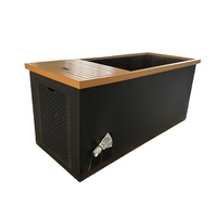 Bain de glace rectangulaire moderne en acier inoxydable pour athlètes - Utilisation intérieure en hôtel, 2 personnes