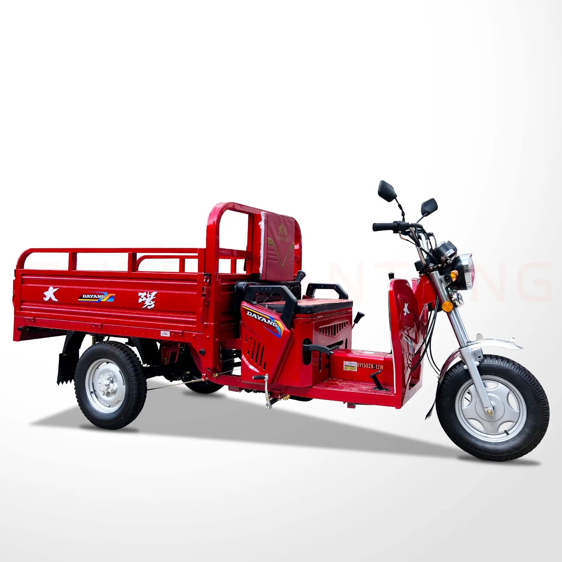 DAYANG-triciclo de carga de motocicleta, motor refrigerado por aire de 110cc, triciclo de carga accionado por gas, motor de carga de tres ruedas