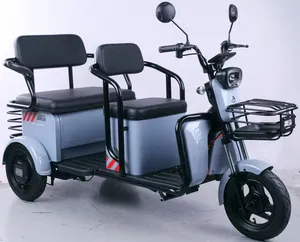 Electric Tricycle For Passenger 1000W Electric Tricycle Adult Electric Tricycle