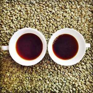 Factory Supply Yunnan Green <strong>Arabica</strong> <strong>Coffee</strong> Yunnan Small Grain <strong>Coffee</strong> Rubiaceae Coffea <strong>Arabica</strong> Washed <strong>Coffee</strong> Beans - Product Image 6