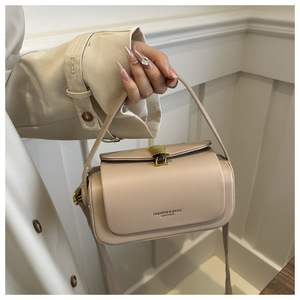 Stylish 2025 <b>Small</b> Square <b>Bag</b> Women Crossbody <b>Tote</b> Elegant Lightweight Luxury Handbag Fashion Daily Use - Product Image 2
