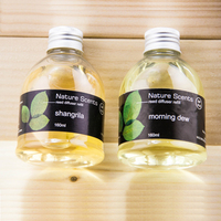Diffuseur de parfum d'ambiance en verre personnalisé avec bâtonnets, pour huiles essentielles et parfums, ensembles de diffuseurs à bâtonnets aromatiques