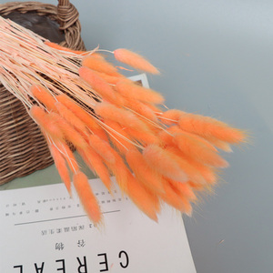 Fiori Secchi <span class=keywords><strong>Lagurus</strong></span> All'Ingrosso, Attraenti per Prezzo e Qualità, Bouquet di Fiori Coda di Coniglio Eterne per Decorazioni Festive - Product Image 3