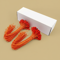 Allumeur électrique en plastique sans fumée et écologique pour feux d'artifice et mèches de pétards, longueurs de 0,3 à 5 m, vente en gros