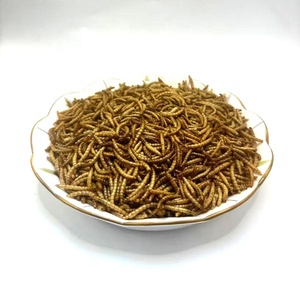 Commercio all'ingrosso biologico ad alto contenuto proteico secchi di vermi della farina per gli uccelli - Product Image 4