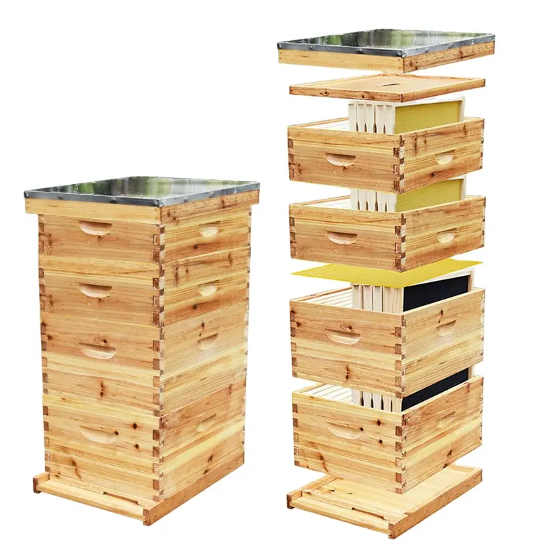 Kit de colmeia de abelha langstroth de quatro camadas para apicultura