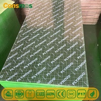 Papan Kayu Lapis Berlapis Film PP Hijau 12mm 15mm 18mm Inti Poplar Lem E1 Tahan Air untuk Bekisting Beton