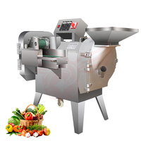 Multifunctionele automatische snijmachine, commerciële elektrische aardappel-, wortel- en gembersnijder, groentesnijder, dubbele uitvoering