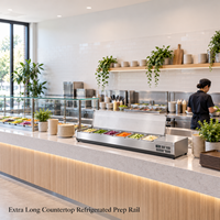 Barre de préparation pour buffet, extra longue 2180 mm, 1/3 GN, pour ligne de préparation de burritos et poke