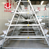 Cage à poules pondeuses conventionnelle à 3 niveaux en fil d'acier galvanisé avec abreuvoir à tétine et mangeoire pour ferme avicole