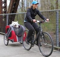 Remorque de vélo pour enfants, camping-car d'extérieur, remorque de bicyclette avec 2 roues, livraison gratuite