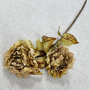 Meibao Fleurs artificielles séchées de haute qualité, pivoines de Luoyang, fleurs artificielles au toucher réel, fleurs immortelles, arrangement de scène d'automne - Product Image 3