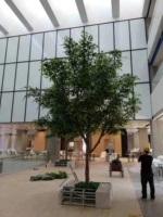 Arbre banian artificiel plante ficus en plastique de 5m pour l'usage décoratif de restaurant