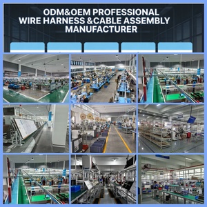 Otomotiv Akıllı Kokpit Sensör Sistemi için Özel Yeni Enerji Aracı Kablo Demeti - Product Image 4