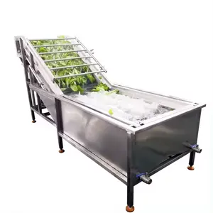 Automatische Productielijn Bladgroente Reinigingsmachine Fruitgroente Wasmachine Fruitbubbel Wasmachine