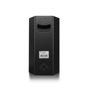 2021 nueva llegada cisnes PS600 6 pulgadas altavoz de audio profesional potencia máxima 500 vatios utilizado en lugares públicos de iglesias - Product Image 2