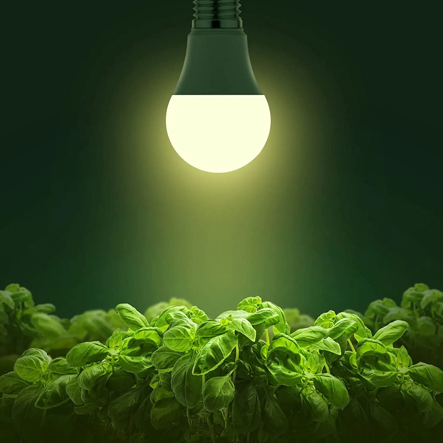 LED ampul büyümek A19 tam spektrum bitki ışık 11W ampul büyümek 100W eşdeğer kapalı cam hediye kutusu için ışık büyümek 75 IP65 70