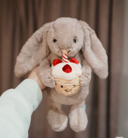 En gros, Peluches super douces populaires : Renard, fruits et petits animaux mignons, Porte-clés, Jouets apaisants, Grande taille pour enfants, Cadeau d'anniversaire