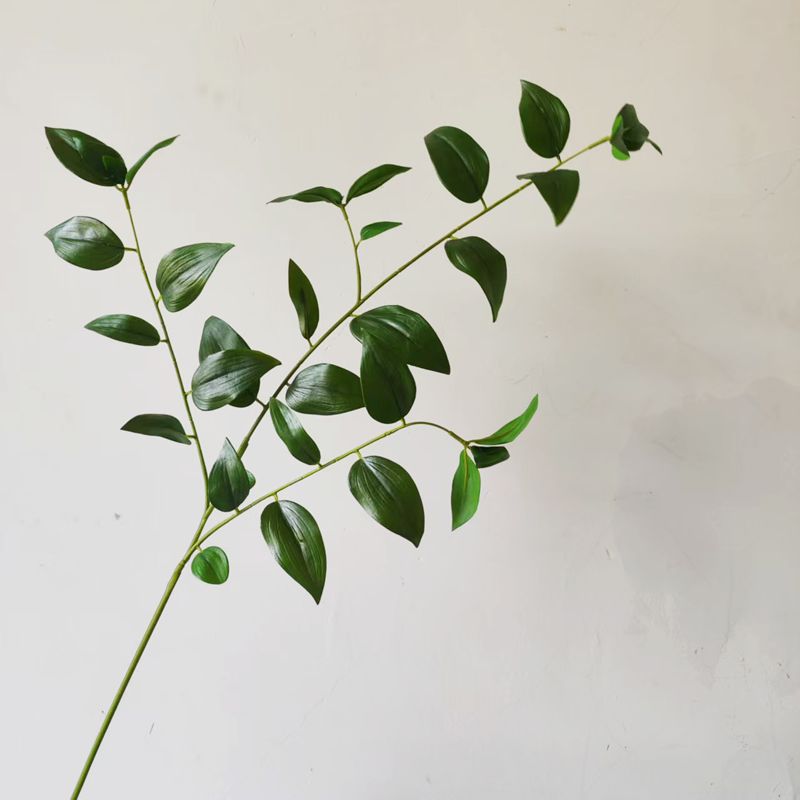 Verde oscuro