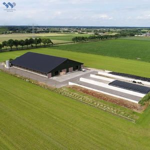 Snel Te Bouwen Goedkope Metalen Kippenhokken Werpen Prefab Kippenhok Pluimvee Boerderij Schuur Gebouwen - Product Image 2