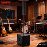 VAMAV Pro Audio AURA 12 500W RMS DSP EFFECTS CLASSE D Haut-parleur colonne actif 12 pouces Prend en charge Bluetooth USB et microphone