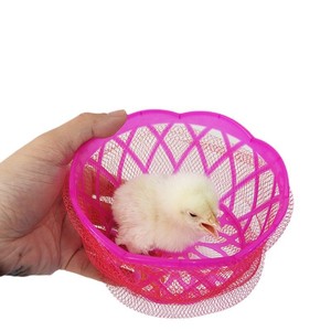 Canne à pêche magnétique pour enfants, ensemble de jeu pour étang à poulets, jouet d'activités pour jeux en plein air - Product Image 5