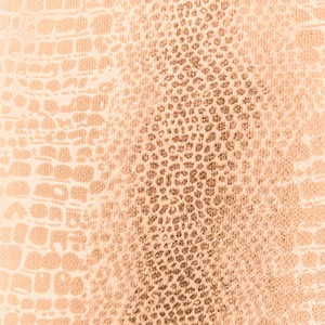 Sıcak satış giyim kumaş yumuşak el hissediyorum Sheer gofre kumaş yılan cilt tasarımı ile seksi kadın elbiseleri için - Product Image 1