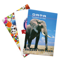 Carpeta de Archivo Transparente en Forma de L, Personalizada, de Plástico PP PVC A4, para Suministros de Oficina, con Bolsillo Trasero