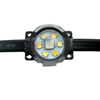 DC24V 100ft avec 60 LEDs RGBIC + blanc chaud/froid 5 couleurs adressables LED lumières extérieures permanentes IP68 couleur pleine maison avant-toit Lig