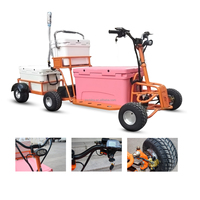 Chariot électrique portable 4x4 75QT de Chine, scooter électrique 48V, scooter tout-terrain, glacière, voiture pour le camping, les activités de plein air et les voyages