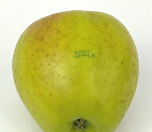 آلة طباعة البيض VJ1620FG طابعة نفث حبر مستمر لطباعة التواريخ والشعارات على الأطعمة المعبأة - Product Image 3