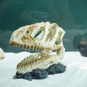 Haute Qualité Résine Tyrannosaurus <span class=keywords><strong>Rex</strong></span> Crâne Aquarium Fish Tank Décoration En Plastique Paysage Artisanat - Product Image 2