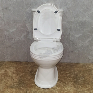 Nhà Vệ Sinh Hai Mảnh Ewc Thiết Kế Hình Tròn Thanh Lịch Thị Trường Châu Phi Bẫy Chữ S Và Nhà Vệ Sinh Bằng Gốm Có Sẵn - Product Image 5