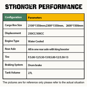 Tricycle motorisé à <span class=keywords><strong>essence</strong></span> avec benne basculante ouverte <span class=keywords><strong>pour</strong></span> le transport de marchandises et de passagers en vente - Product Image 2