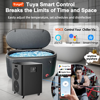 Bañera de hidromasaje inflable al aire libre 220V sistema de enfriamiento rápido 1.5Hp 1Hp 0.5Hp motores bomba enfriador de agua enfriadores de baño de hielo para recuperación