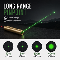 ZhonNa Nouveau Module Laser Vert 520nm 135mW à Ligne Micro-Pointe Longue Portée, Outil de Visée et de Positionnement à Mise au Point Réglable, Pièces d'Instrument