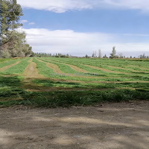 <span class=keywords><strong>Râteau</strong></span> à herbe pour tracteur, accessoires de tracteur, <span class=keywords><strong>râteau</strong></span> motorisé pour tracteur PTO - Product Image 5