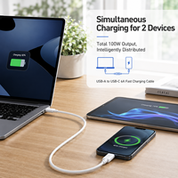 Câble de charge rapide PD Type C vers Type C 100W 6A, cœur en cuivre pur amélioré, transfert de données haute vitesse, OEM ODM, vente en gros