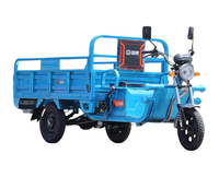 Tricycle électrique agricole à 3 roues Lianju Chine de haute qualité, 48V20A 1000W, avec pompe à engrenages PLC, pour adultes