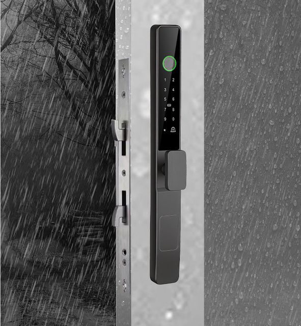 Ttlock Tuya Smart Locks Fingerprint Aluminum Steel Double Side Sliding Glass Door Lock