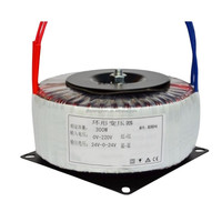 Transformateur toroïdal personnalisé 300VA 300W Entrée 110V 220V 230V Sortie 12V 18V 24V 26V 28V 45V pour alimentation Amplificateur audio