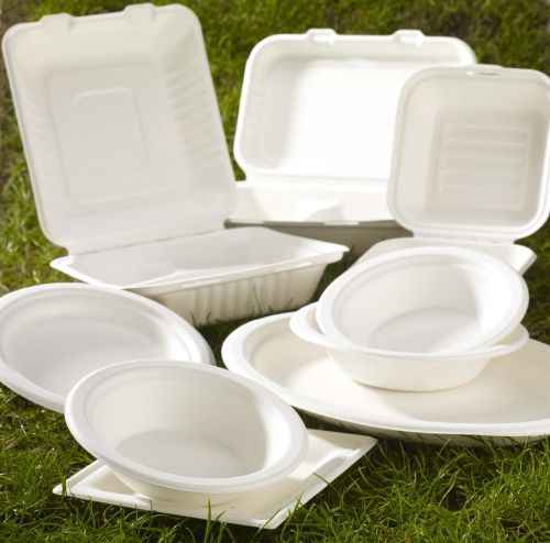 Free Disposable Sugarcane Food Containers Biodegradable Bagasse ...