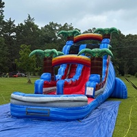 Toboggan aquatique gonflable commercial en PVC pour adultes, idéal pour les parcs de jeux extérieurs – Offre spéciale palmiers